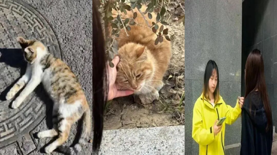 为探寻校园里曼城官方合作伙伴滚球买球