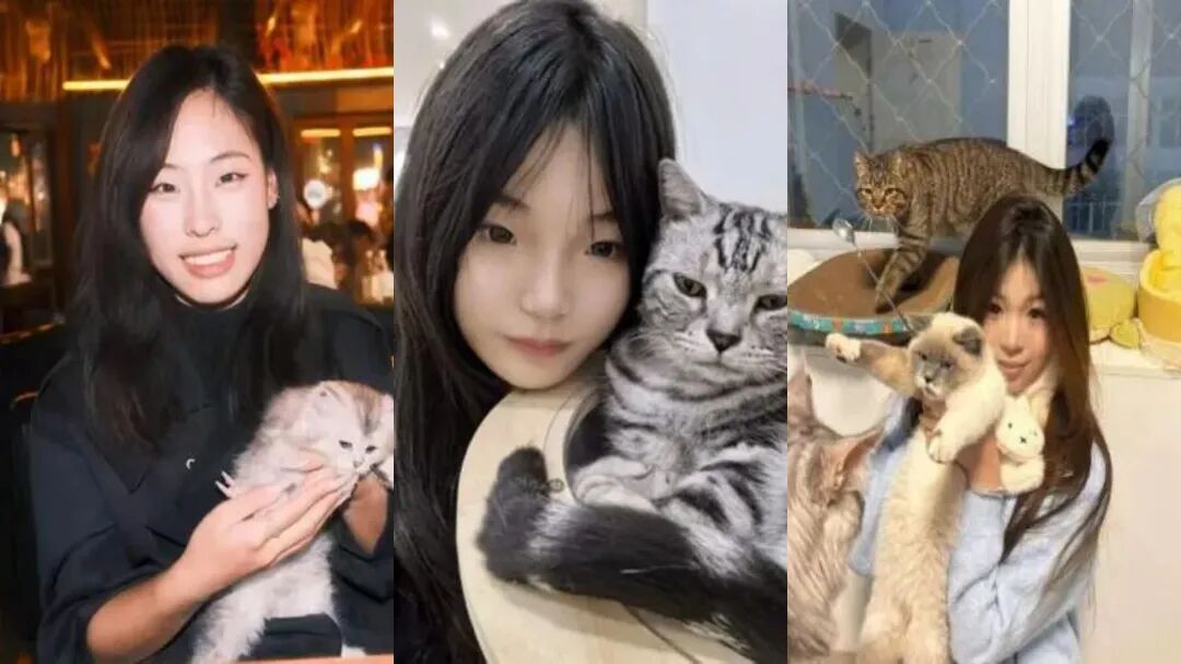 5月15日