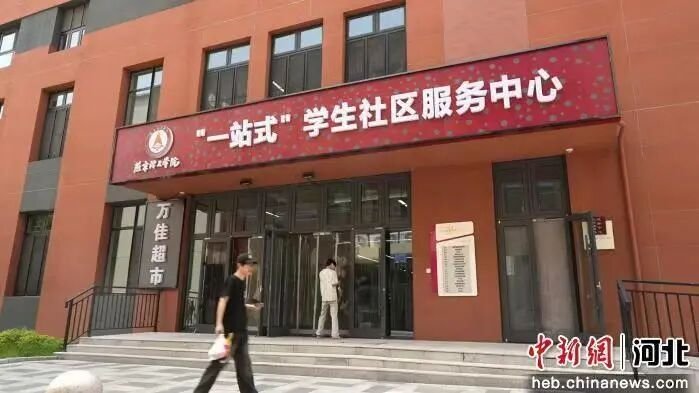 玩滚球的十大正规平台新手怎么玩决定以