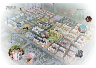 师资队伍