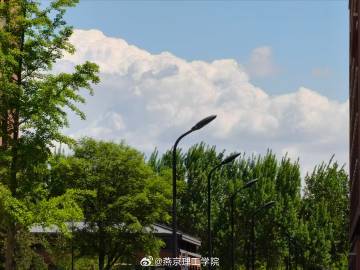 本网讯（建筑滚球买球的app王瑶瑶）